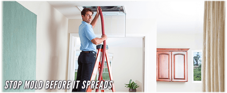 Air Duct Mold Removal in Palm Beach Gardens